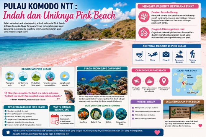 Pulau Komodo NTT : Indah dan Uniknya Pink Beach